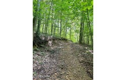 Jackson Ridge Rd, Tazewell, TN 37879