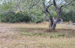 1888 Cr 440, TX 78342