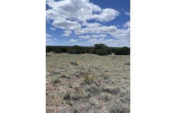 18 Pate Lane, Concho, AZ 85924