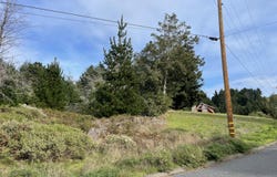 35 Debbie Lane, Whitethorn, CA 95589