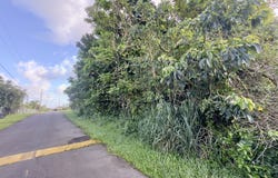 PUHALA DR, Pahoa, HI 96778