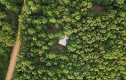 845 Fire Tower Road, Hardy, AR 72542