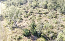 705 CR 825, Buna, TX 77612