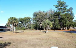 NE 6TH Place, SILVER SPRINGS, FL 34488
