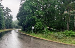 Perdilot Drive lot: 19&20, Woodville, TX 75979