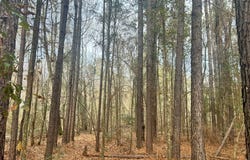 Hwy 15 N, LOUIN, MS 39338