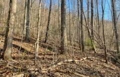 528 Early Dietz, Sylva, NC 28779