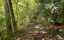 Fern Hill Drive, Franklin, NC 28734