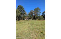 Mckinney-Richland Road, Mascot, TN 37806