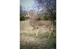 999 CR3805, Bailey, TX 75413