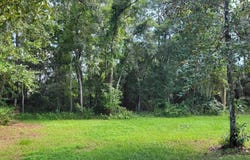 Moss Drive, Saint Augustine, FL 32092