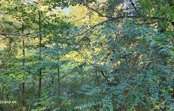 Blackberry Rd, CAMDEN, TN 38320