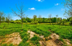 McGuiness Road, Dexter, MI 48130