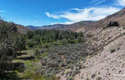 E Fork Road, Clayton, ID 83227
