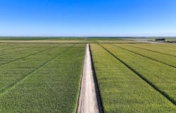 Blanchard Avenue, Laton, CA 93242