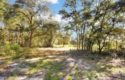 7455 RYE Court, Keystone Heights, FL 32656