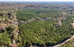 AL HIGHWAY 82, EUFAULA, AL 36027