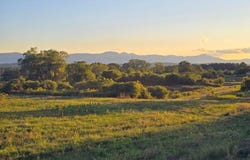Mountain View Drive lot: 1, Coxsackie, NY 12051