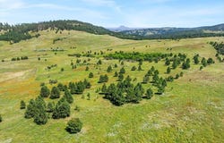 149.82+/- acres, Whitewood, SD 57793