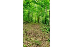 Hemlock Falls Drive lot: 9, Sylva, NC 28779
