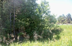 00 STONE CIRCLE DRIVE, KEWADIN, MI 49648