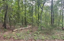 8 Faisan Circle, Hot Springs Village, AR 71909