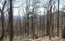 Mountaineer Way lot: 9, Fancy Gap, VA 24328