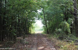 12 Star Landing Road, Nesbit, MS 38651