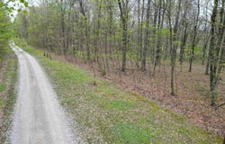 Tract 4 E Pine Road Common, Bloomfield, IN 47424
