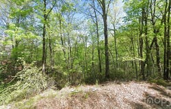 Buzzards Place, Lake Lure, NC 28746
