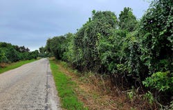 446 Riverside Drive, Bastrop, TX 78602