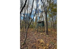 Holt, Holt, MI 48842