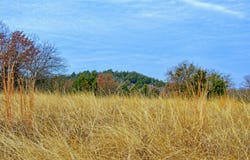 FM 3206, St Jo, TX 76265