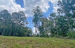 3.3ac Trillium Trail, Dahlonega, GA 30533