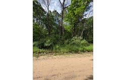 V/L E Lynndon Street, Idlewild, MI 49642