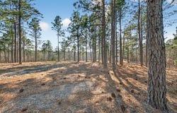 316 Cadle Crossing Road, Windsor, SC 29856