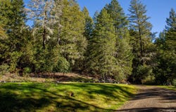 40643 Covelo Road, Willits, CA 95490