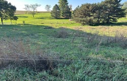 501 W Lorge, Randolph, NE 68771