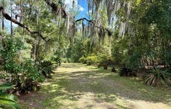 4850 NW 55th Ave, Bell, FL 32619
