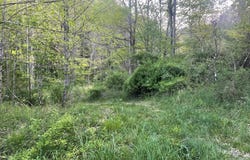 Bob Byrd Rd, SPANISHBURG, WV 25922