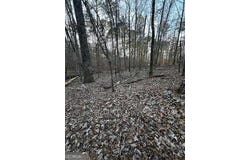 River Ridge Trail, Sparta, GA 31087