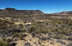 24387 Echo Str., Terlingua, TX 79852