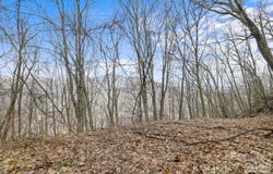 Forest Drive, Maggie Valley, NC 28751
