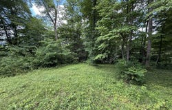Shoreline Circle, LaFollette, TN 37766