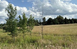 Shepherd Road, Mt Pleasant, MI 48858
