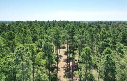 80 N4130 rd., Antlers, OK 74523