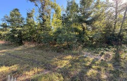 5944 Neumann Road, Lewiston, MI 49756