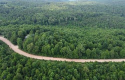 792 Gutter Road, Harriet, AR 72639