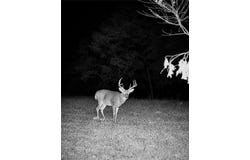 Taylor Road, Cambridge, OH 43725