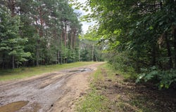 Williams Trail, Grayling, MI 49738
